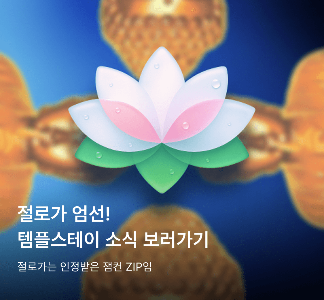 절로가 공식 인스타그램