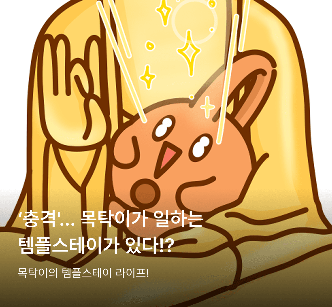 목탁이 인스타그램