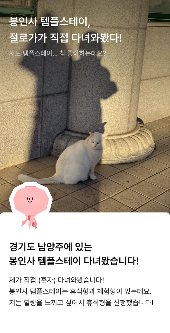 큐레이션 이미지