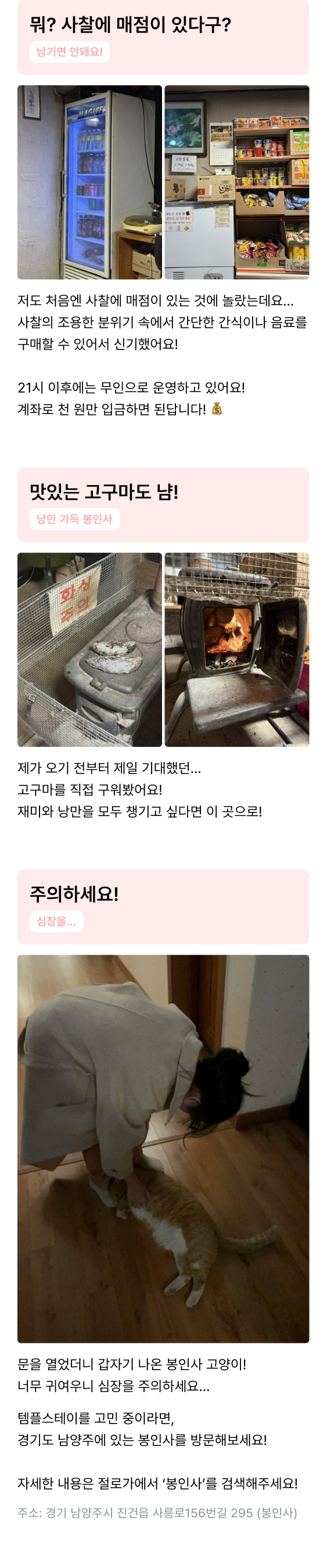 큐레이션 이미지