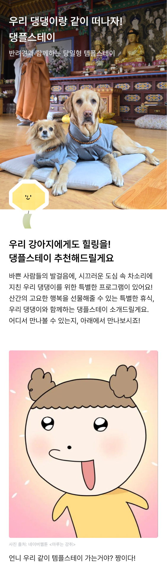 큐레이션 이미지