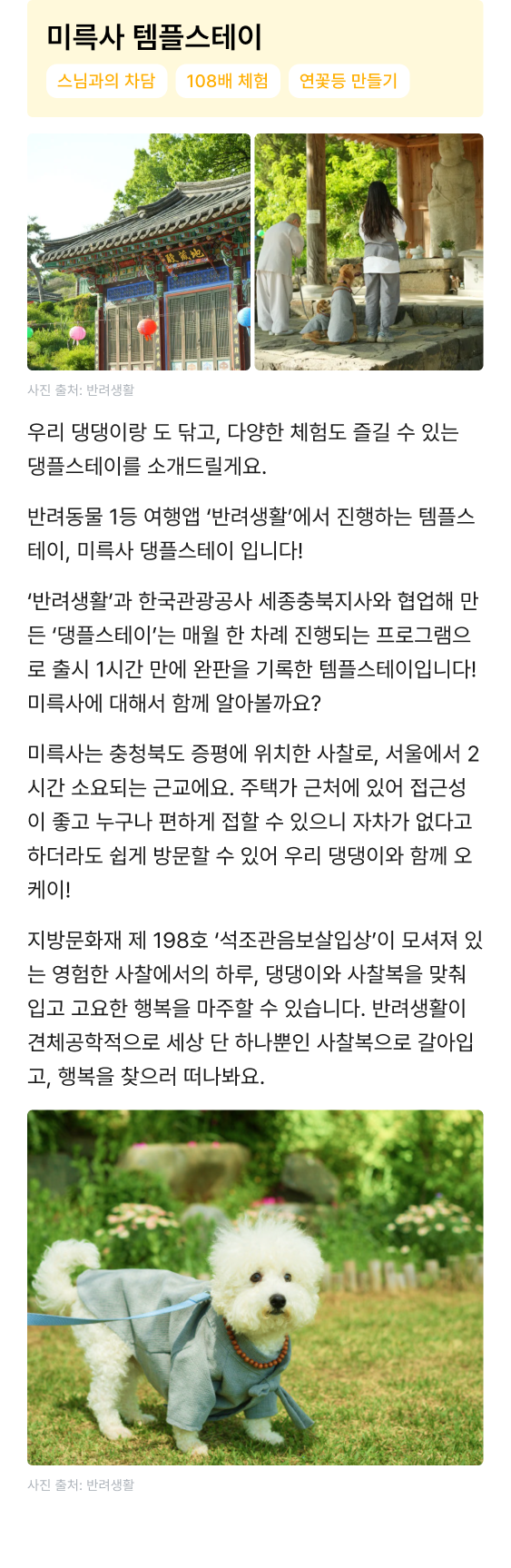 큐레이션 이미지