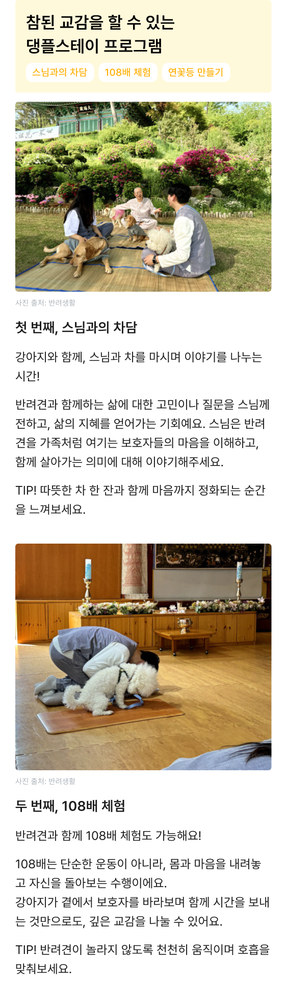 큐레이션 이미지